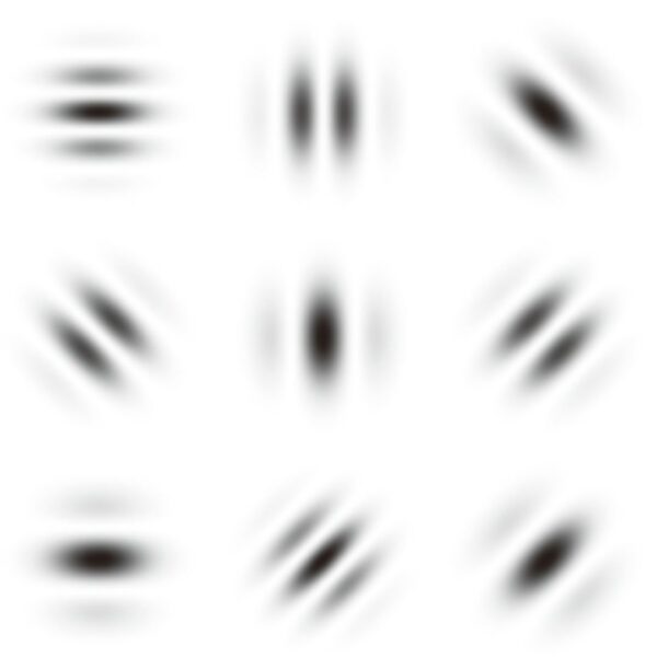 カボールバッチ